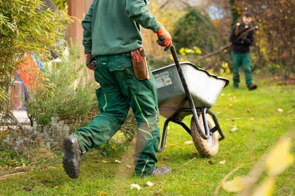 A landscaper wheeling a barrow across a lawn while a second crew member works behind