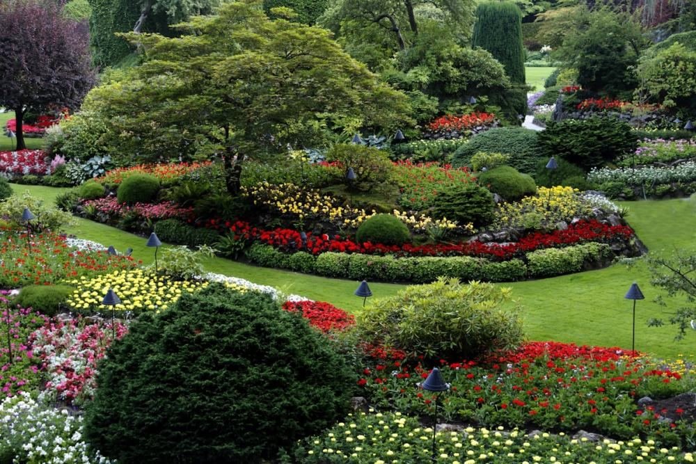Curved planting beds massed with flowering perennials around a clipped lawn