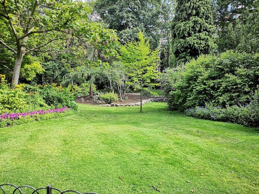 A lawn framed by mature planting beds and specimen shrubs in Norwalk, CT